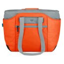 Alfi isoBag Kühltasche 2 tlg. Thermotasche...